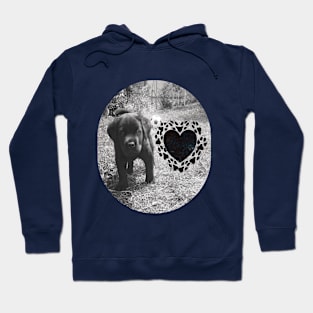 Cute Dog Hoodie